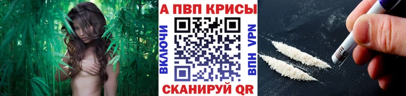 Купить где  Гремячинск  Alfa_PVP Соль 