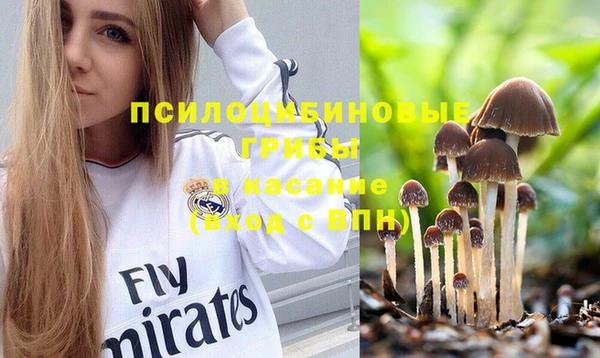 стафф Заводоуковск