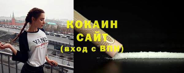 стафф Заводоуковск