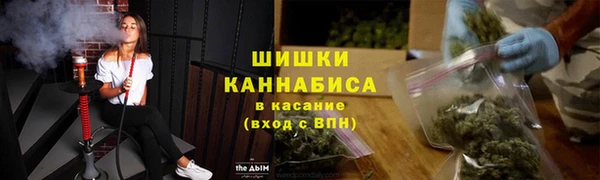 стафф Заводоуковск