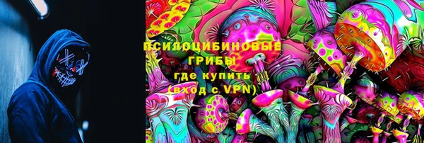 стафф Заводоуковск