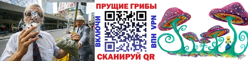 Псилоцибиновые грибы мицелий  Купить закладки  Гремячинск 